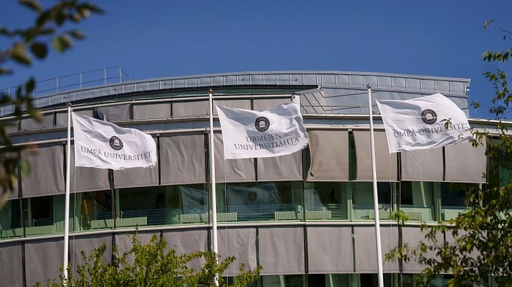 Umeå universitet har i år fler sökande än Lunds universitet, även om det endast skiljer drygt 400 ansökningar, och sett till antal ansökningar är Umeå universitet nu på en fjärde plats i landet efter Stockholm, Göteborg och Uppsala.