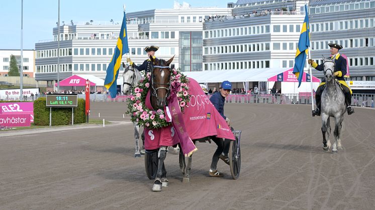 Go On Boy vann Elitloppet 2025. Foto:TR Bild