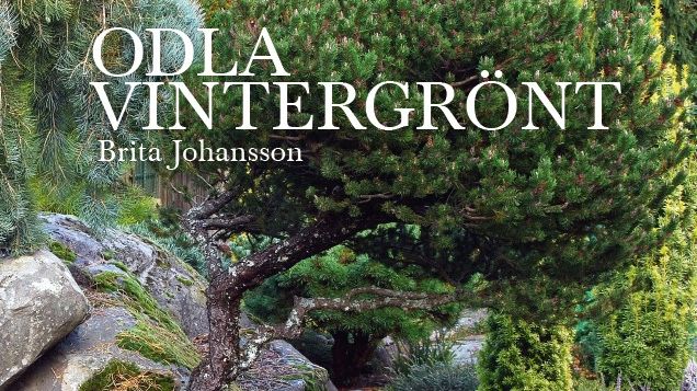 En inspirerande bok för alla trädgårdsentusiaster: "Odla vintergrönt" av Brita Johansson