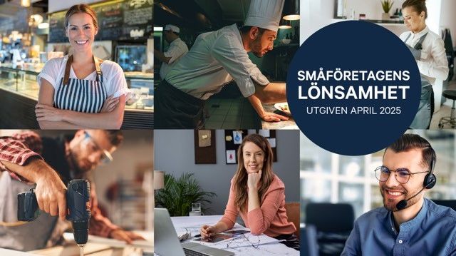 Småföretagare trotsar omvärldspress – konsult och service toppar