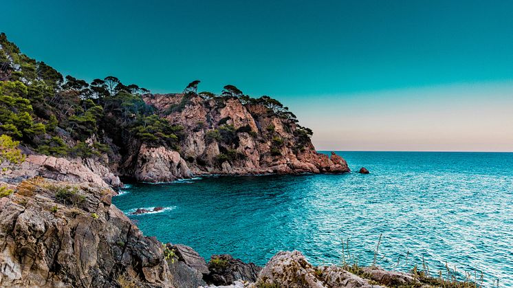 Verano 2025: Qué deben tener en cuenta las familias al planificar sus vacaciones 