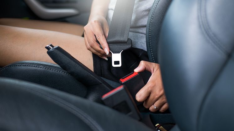 Seat Belt.jpeg