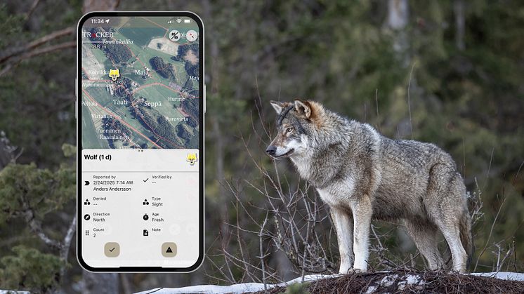 Natlink offers free wolf observation feature to help dog owners stay safe