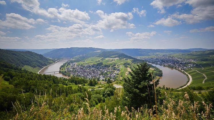 Ferienunterkünfte von Landal und Roompot an der Mosel und in der Eifel: Traumhafte Wanderpfade für alle Urlaubstypen