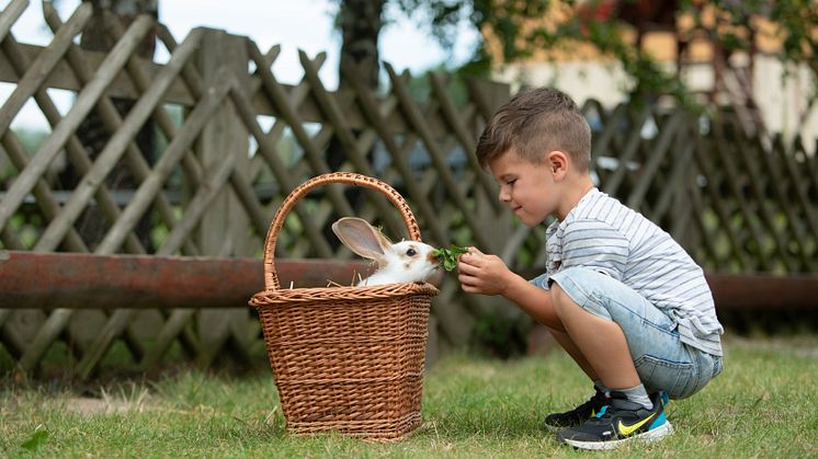 Dem Osterhasen auf der Spur (Foto: TVE/studio2media)