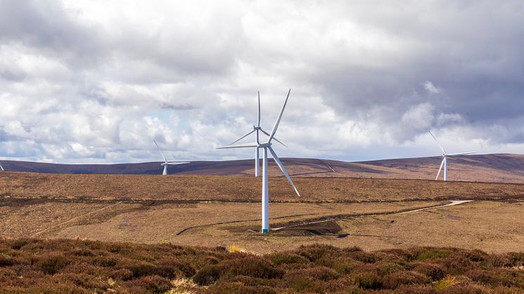 Fred. Olsen Renewables reveals new wind farm plans
