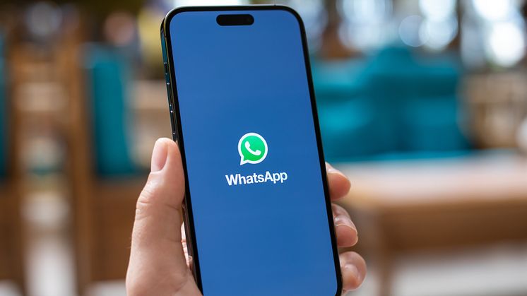 Discover Airlines_WhatsApp