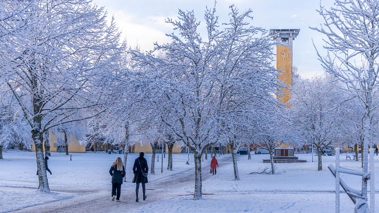 Vårterminens nya studenter välkomnas till campus