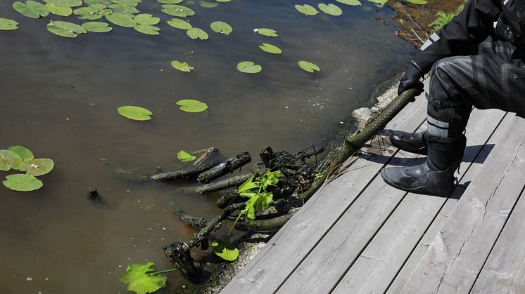 Räddningstjänstens personal drar upp en av många cyklar ur Mälaren 2024
