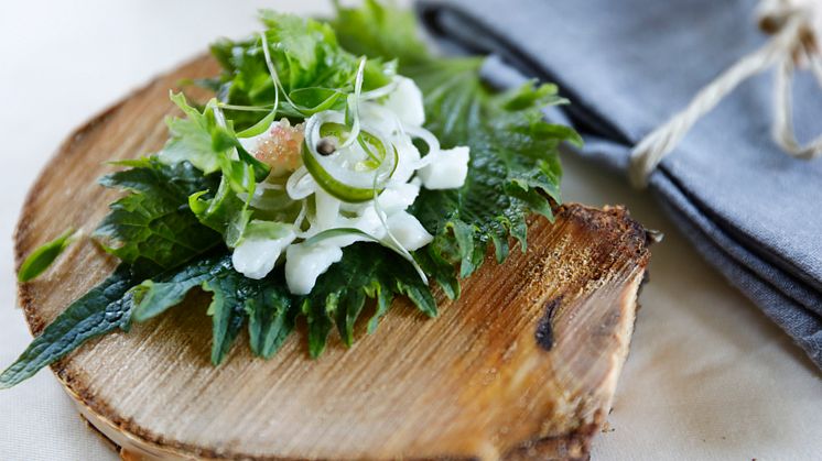 Tre restauranger från Blekinge hyllade i 360° Eat Guide – ett bevis på hållbar matkonst