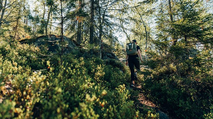 Ung kvinna som vandrar längs en led i skogslandskap