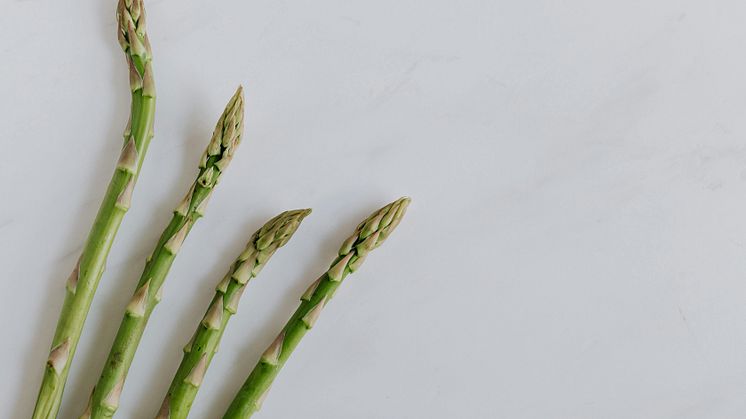 Snart dags för sparrissäsongen – en vårprimör fylld med smak och näring