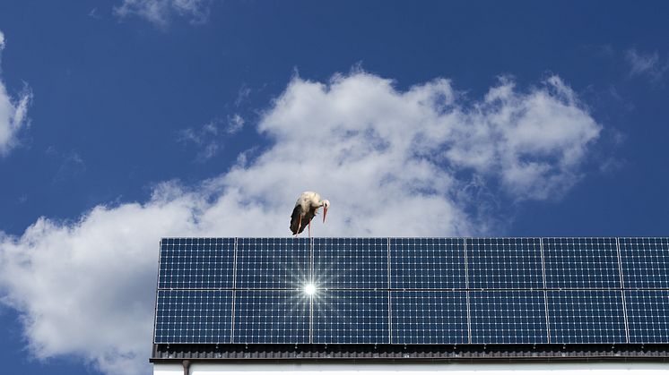 In Niedersachsen wird die Energiewende mithilfe der Wissenschaft weiterentwickelt.  © AdobeStock_840688507