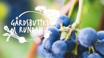 Välkommen till en smakrik helg! Gårdsbutiksrundan den 14–15 september  kl. 10-16