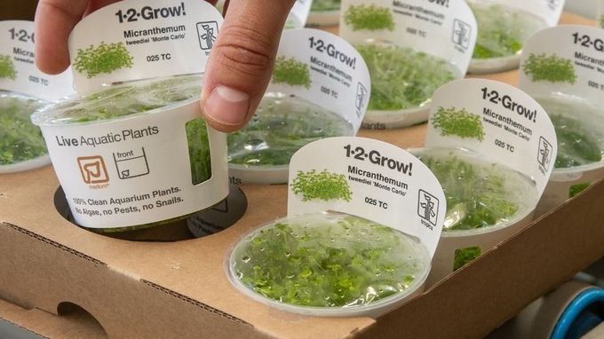 Tropica Aquarium Plants 