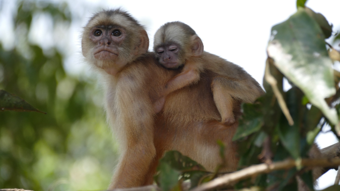 Catch up on the main nature policy news from January