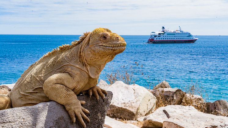 HX Hurtigruten Expeditions präsentiert Katalog für 2026/27: Mit neuen Routen und attraktiven Frühbucherpreisen in die 130. Saison                                   