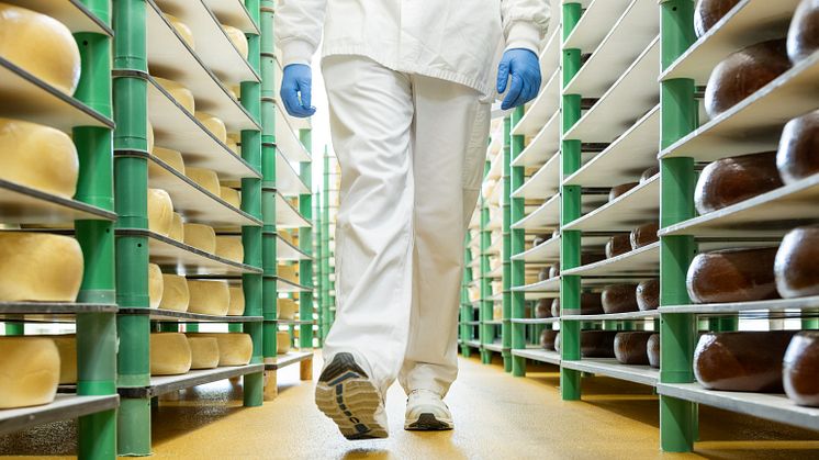 Mejeri- og ostefremstilling er en af de brancher inden for fødevarefremstilling, der har flest ulykker. Siden 2019 har 4.315 fødevareproduktionsmedarbejdere været ude for en arbejdsulykke. Foto: Sika Footwear