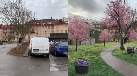 katrineholm park.jpeg