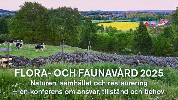 Många livsmiljöer i odlings- och skogslandskapet är i sämre skick än vad vi önskar. Hur väljer Sverige att ta sig an denna utmaning?