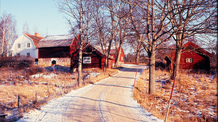 Illustrationsbild: En vacker, vintrig grusväg någonstans i Katrineholms kommun. Bilden är inte från den aktuella platsen. Fotograf/Källa: Katrineholms kommun
