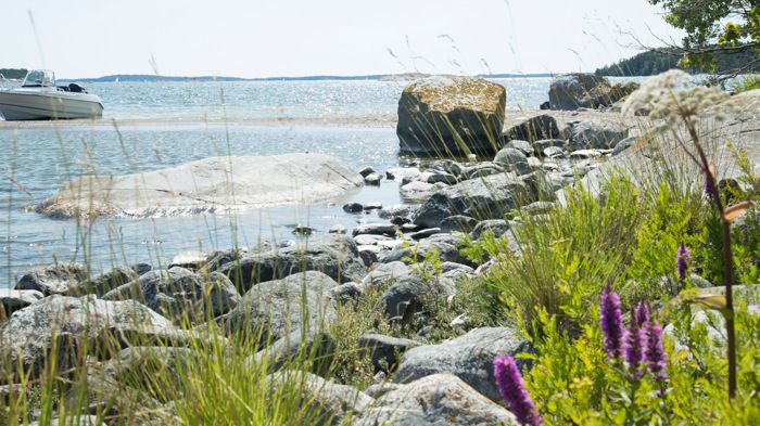 Under vårens tillsyn har inspektörerna tittat på om reglerna kring strandskydd följs, det vill säga att tillgängligheten till strandzonen inte begränsas eller försvåras och att växt- och djurliv inte påverkas. Bilden är en genrebild.