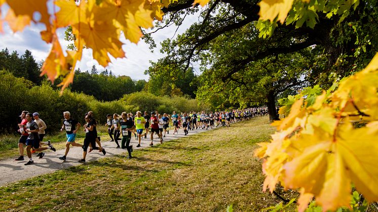 Flera busslinjer påverkas i helgen när årets upplaga av Lidingöloppet arrangeras. Foto: Peter Holgersson, Lidingöloppet