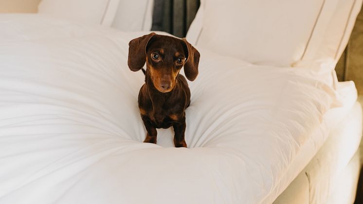 Foto_Chatarina_Lundin.JPG