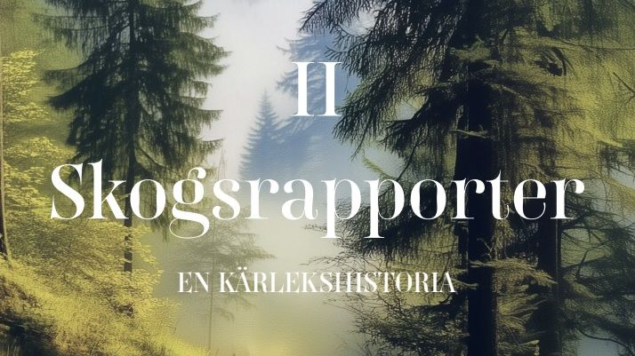 "Skogsrapporter II" av Birgitta Liebenholtz – En berättelse om kärlek, natur och att hitta sin plats