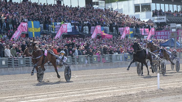 Go on Boy vinner Elitloppet 2025 tillsammans med kusken Romain Derieux. Foto: Lars Jakobsson/TR Bild.