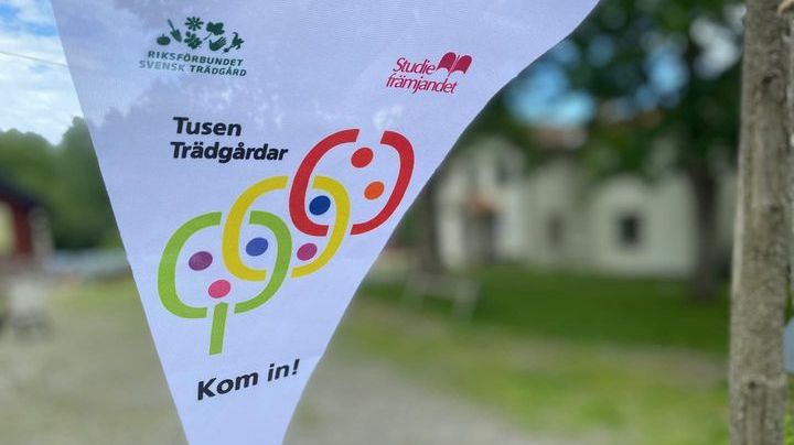 Den 30 juni kan du se denna vimpel i entrén till de öppna trädgårdarna 