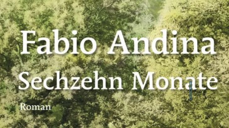 Fabio Andina - Sechzehn Monate - Zwischen Hoffnung und Verzweiflung