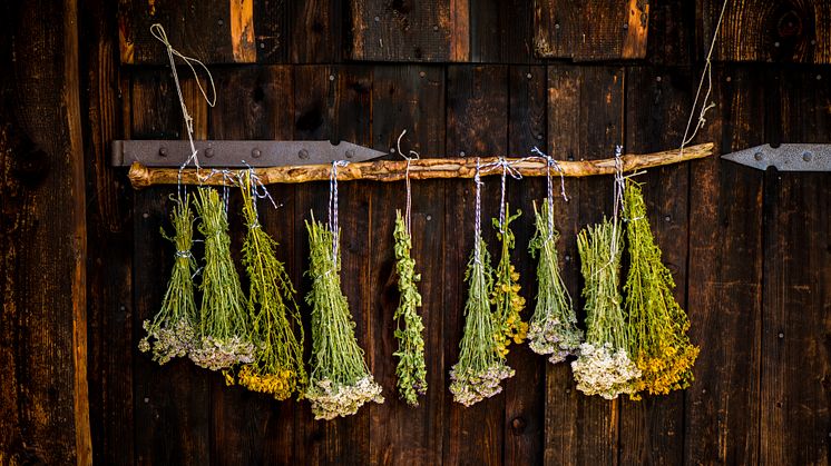 Tegernsee: Manufacture of medicinal herbal medicine © DZT/Saskia Wehler