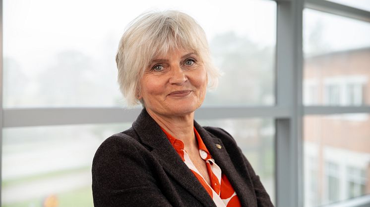 Maria Skyvell Nilsson är nybliven professor i arbetsintegrerat lärande.
