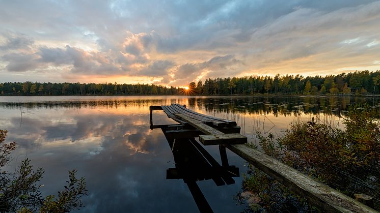 Under september genomförs en företagsvecka i Sala kommun med fokus på att blicka framåt för ett levande Sala