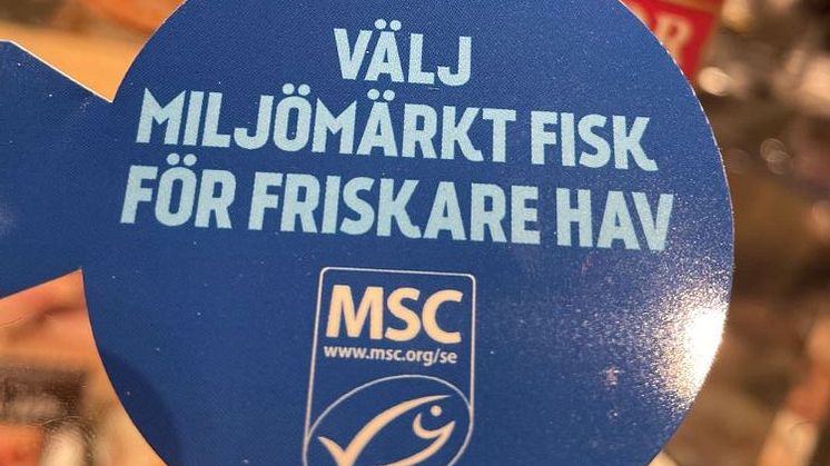 Titta alltid efter den blå fisken i butiken