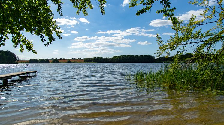 Wasser und Weite: Sie kann man in Brandenburg an zahlreichen Naturbadestellen erleben, wie hier beispielsweise in der Uckermark am Schumellensee. Foto: TMB-Fotoarchiv:Steffen Lehmann. 