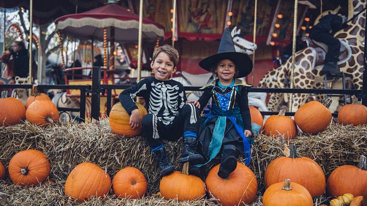Besöksrekord på Gröna Lund - Halloween mer populärt än någonsin