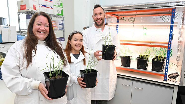 three scientists pictured wearing white coats, in a lab, holding pots with crops growing inside