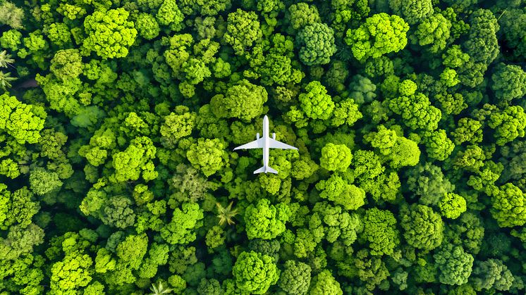 Bild: Adobe Stock/MCGORIE