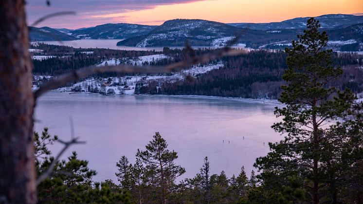 Tack för ett fint 2024 – och välkommen 2025!