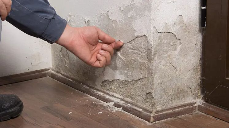 Treat Mould Damp proofing Services Greater London