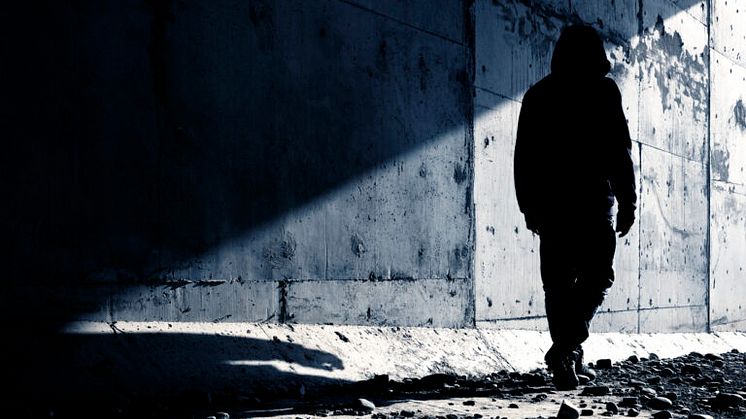 SNS stärker forskningen kring systemhotande brottslighet