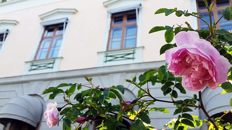 Sommar 2025 – experter vid Stockholms universitet