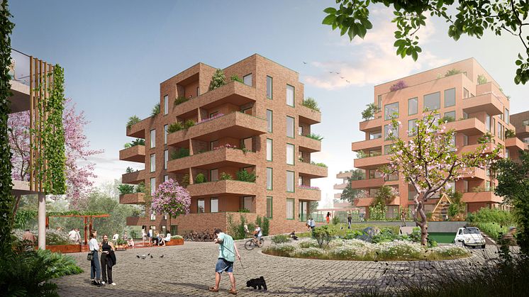 Hovedkonseptet bak utviklingen av Drangsvann er naboskap, samhold og aktivitet. Illustrasjon:  LINK Arkitektur 