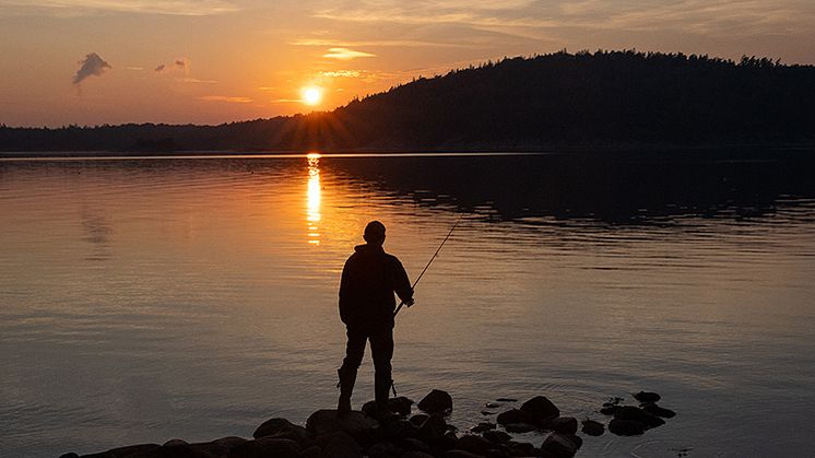 Öring är en av de populäraste fiskarterna, framför allt i fritidsfisket. Reglerna är till för att fisket ska vara hållbart. Foto: Lars Molander, Länsstyrelsen Västra Götaland. 