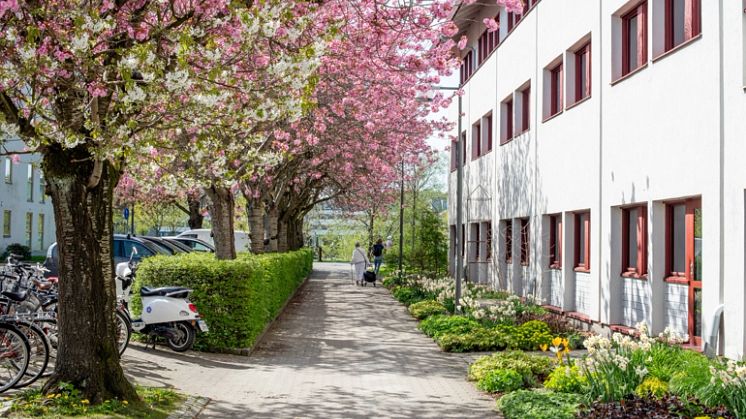 Prognosen visar på en stark ekonomi för Kungsbacka kommun.webp
