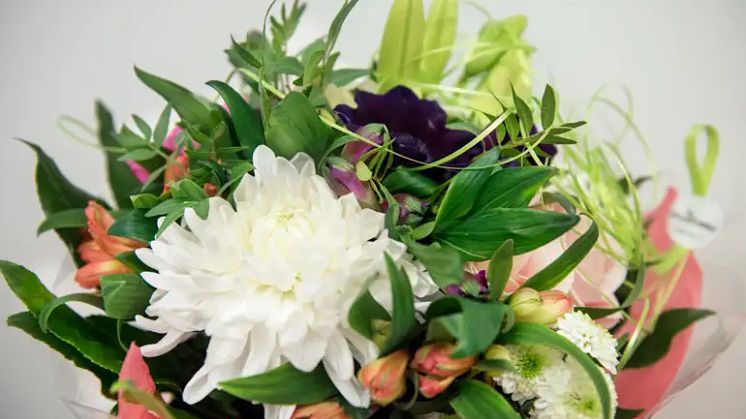 31012018-_DSC6377.webp