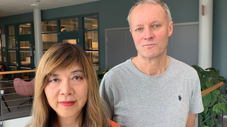 Professor Börje Sellergren har utvecklat en syntetisk antikropp för att upptäcka metastaserna i ett tidigt skede. Professor Jenny Perssons forskar om mekanismer i skräddarsydda läkemedel för att kunna behandla just cancermetastaser. 