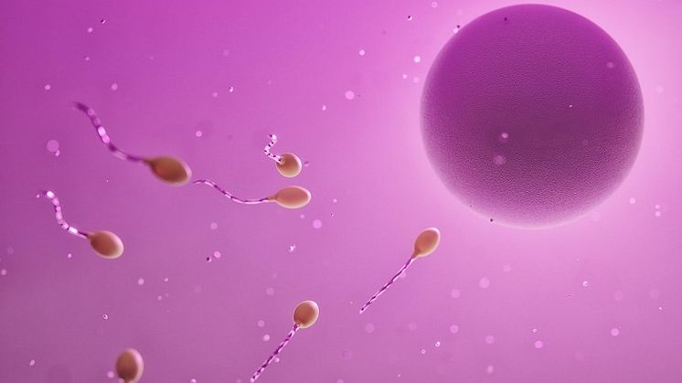 Forskare vid Malmö universitet ska använda sig av AI-teknologi för att förbättra miljöbetingelserna i laboratorium vid IVF-befruktningar.